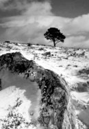 Between a Rock and a Cold Place